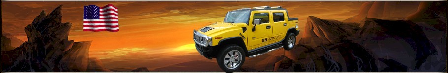 banner_Hummer-Gelb