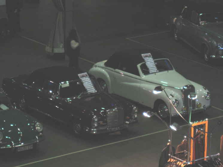 IMG_1341 Oben wendler