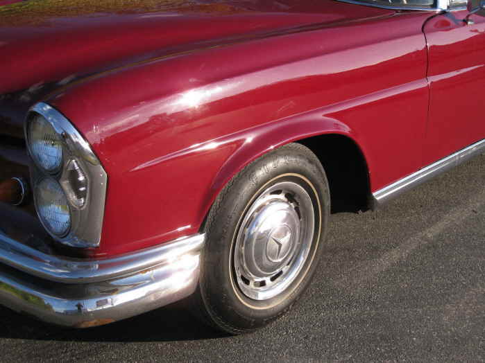 IMG_1438 Kotfl�gel