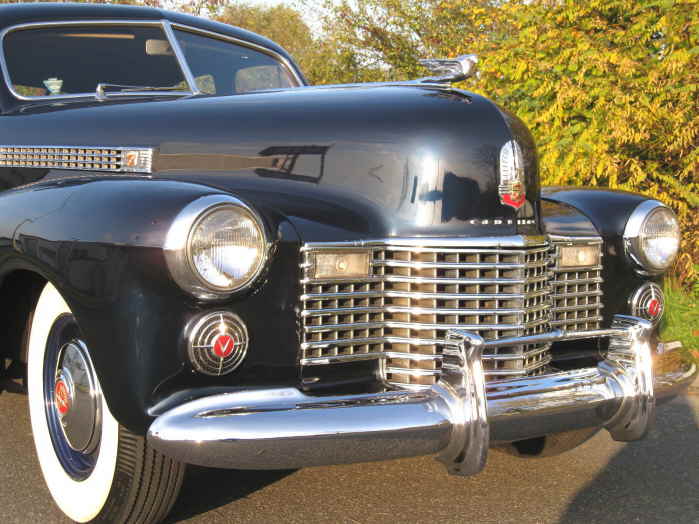 IMG_1498 Front grill gut